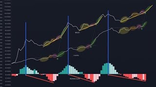 CryptoRadar_2504301: 비트코인 OP_RETURN 저장용량 제한해제 관련 대형논란 진행중, 토큰 2049 시작, 비트코인 수요 여전히 강세 중 실투자자 관망세