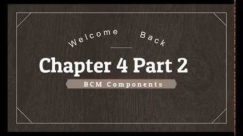 MEMORIZE CA ISCA Chapter 4 Part 2. For other Chapter Check Playlist.