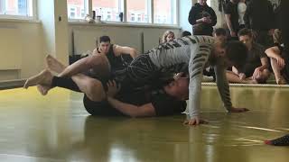 DGL 2019 Spring - Rasmus 3rd fight Profile