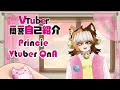 Princie Vtuber Self-Introduction QnA!