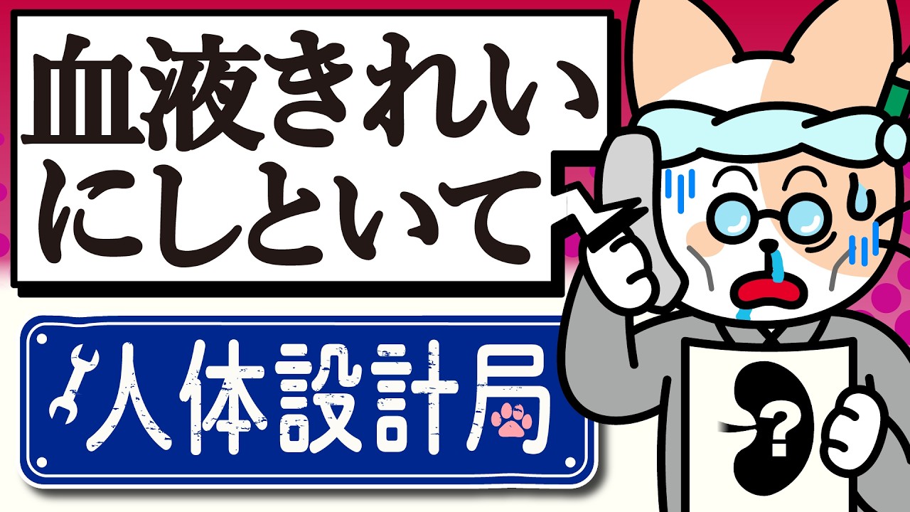 つくって学ぼ~腎臓~ こちら人体設計局!