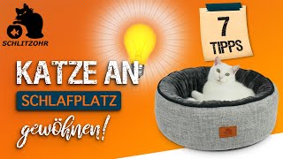 So nimmt deine Katze JEDES Katzenbett an! 7 Tipps | Katze nutzt Schlafplatz nicht  wie gewöhnen?