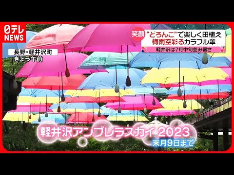 【きょうの1日】気温上昇でムシムシ　晴れやかな気分に…カラフルな傘が梅雨空を彩る