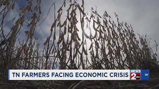 Tennessee farmers facing economic crisis
