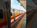 POV: You found the One piece shinkansen