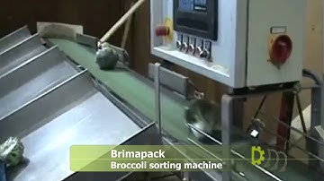 Brimapack sorting machine for broccoli