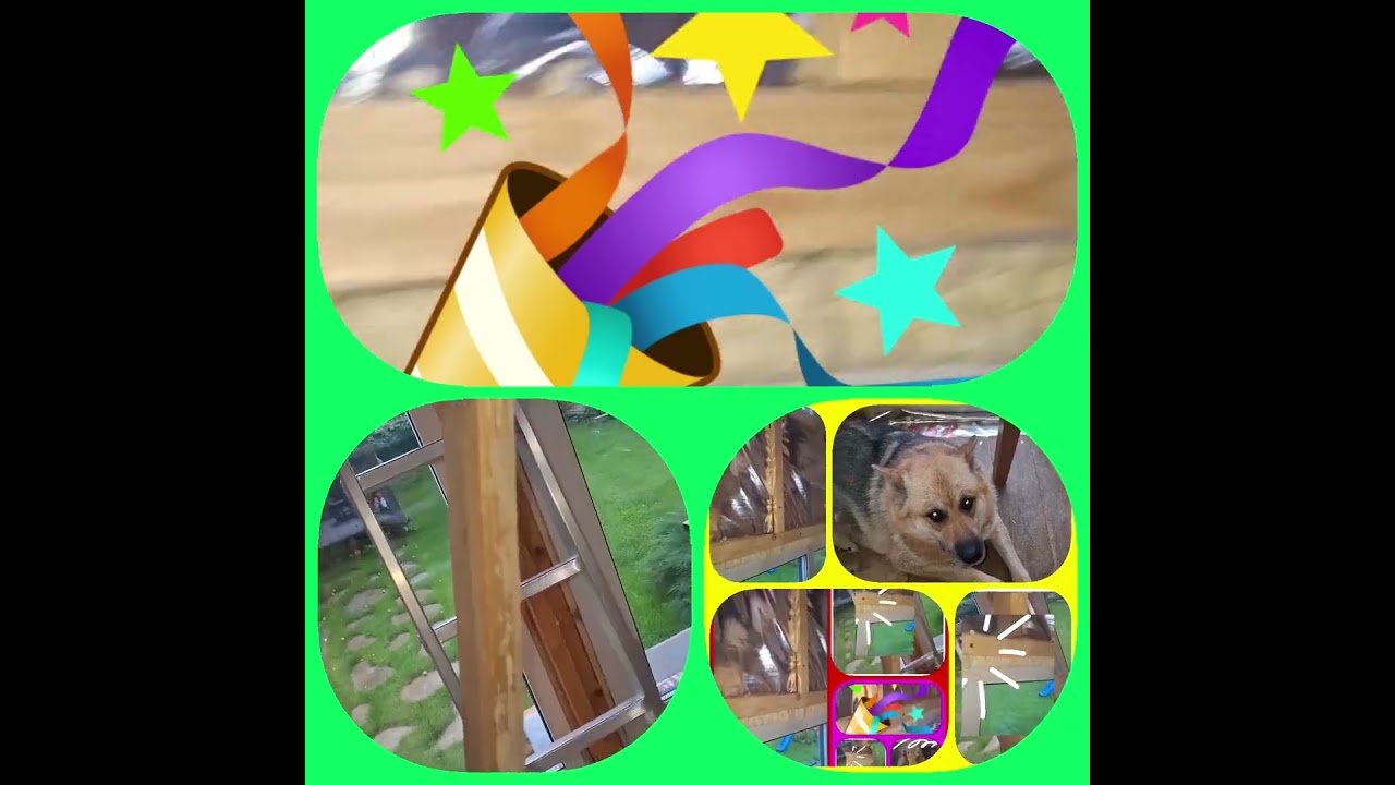 The dog watches the fastening of the imitation bar (Собака наблюдает за креплением каркаса в доме)