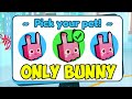 I Beat Roblox Pet Simulator X Using ONLY BUNNY