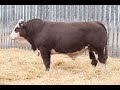 466M WOLFE FARMS 2025
