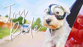 Messages 2 May 15, 2022 .... Joy Ride … Community Life ... With Scott Veroneau
