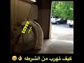 ياخرا شنو هذا 
