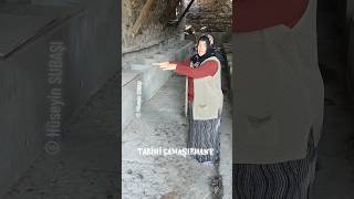 Şabanözünün Tarihi Çamaşırhanesi