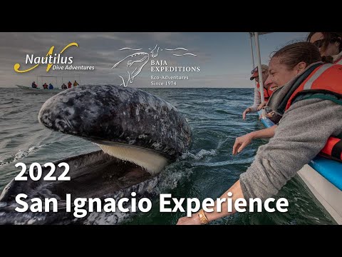 2022 San Ignacio Experience
