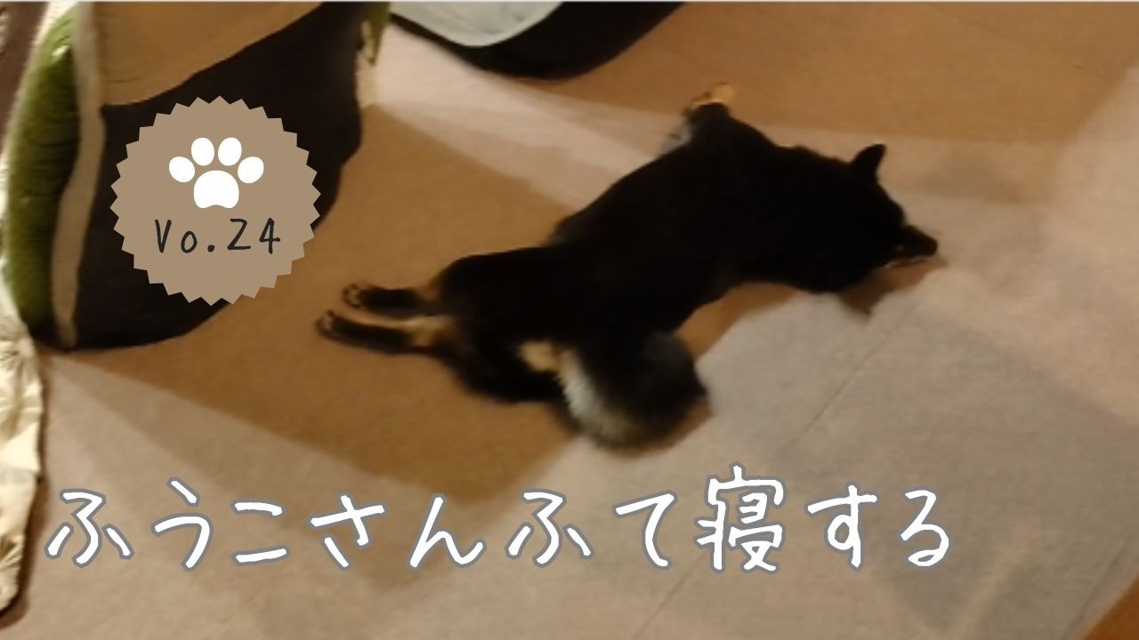 パパの帰りが遅くふて寝するふうこさん