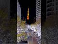 Roppongi Illumination | 六本木イルミネーション #shorts #nightview #japantravel