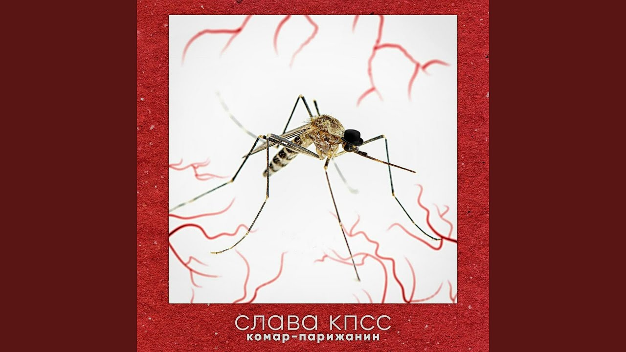 Новый Ротшильд - YouTube