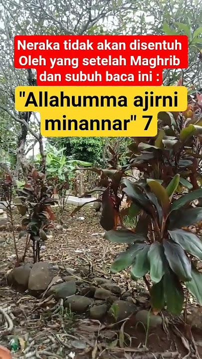 maka jarimu dengan ikhlas ketik Aamiin 🤲 ucapan adalah doa #sholawat#doa#penarikrezeki #shortvideo