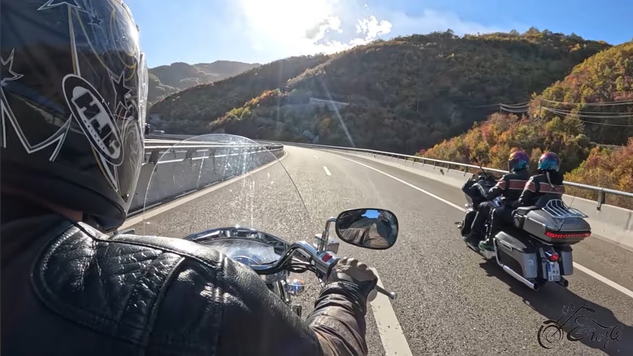 Skoplje 🇲🇰 Muzo kuje Harlija po 🌛🌜 