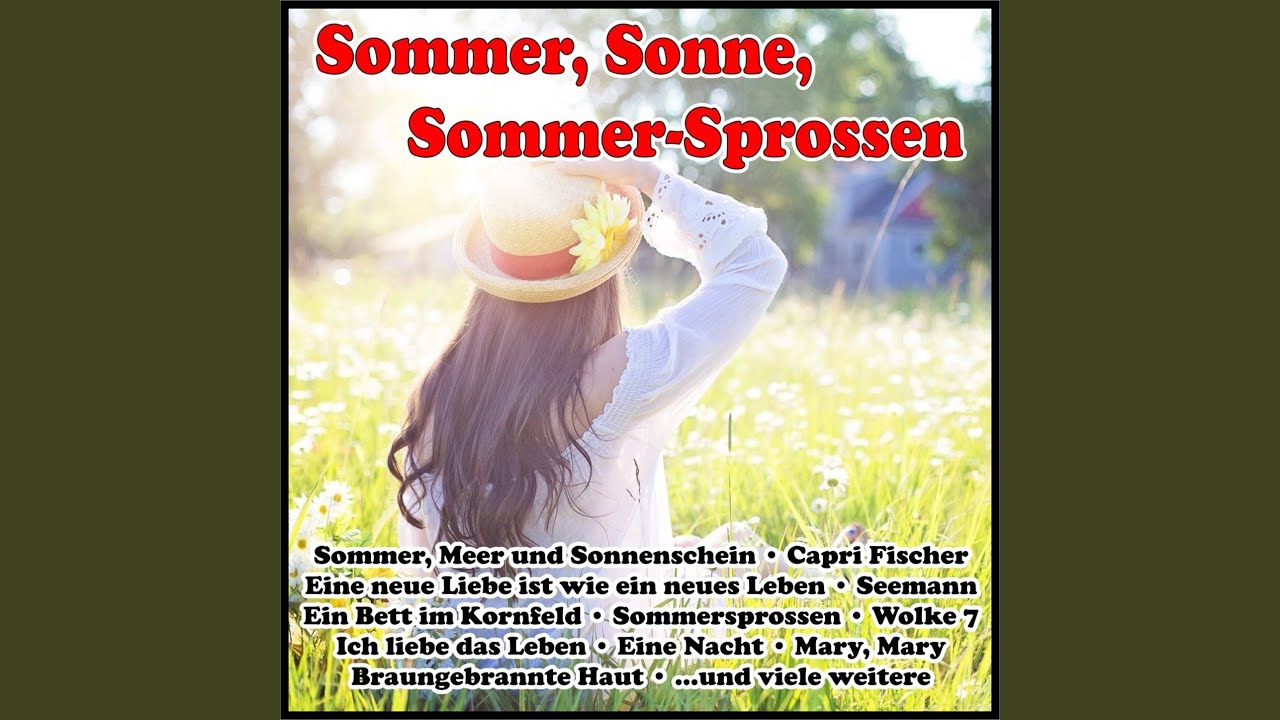 Songtext Johnny Däpp Ich Will Malle Zurück
