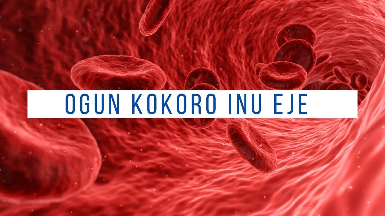 oogun-kokoro-inu-eje-youtube
