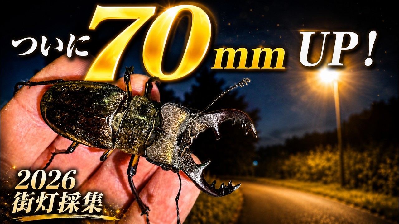 神回】街灯でついに70mmUPのミヤマ降臨！山でも極太69mmが現れた夏