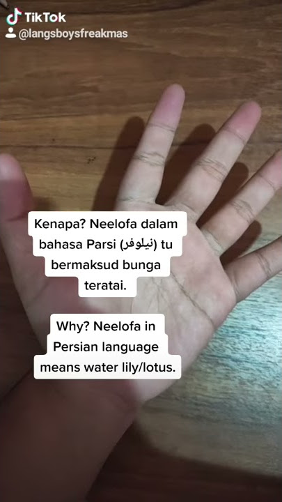 Maksud nama Neelofa dalam bahasa Parsi. Meaning/Translation of Neelofa in Persian language.