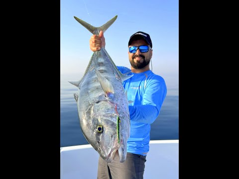 Katar Basra Körfezi avlarımızdan bir kesit  #shorts #shortvideo #fishing - Katar Basra Körfezi avlarımızdan bir kesit  #shorts #shortvideo #fishing