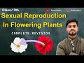 Chapter -1 |Sexual Reproduction In Flowering Plants|Complete Revision| Class 12th| Jac Board| 👈👈