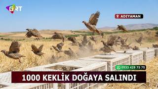 Adıyaman’da Doğaya 1000 Keklik Bırakıldı