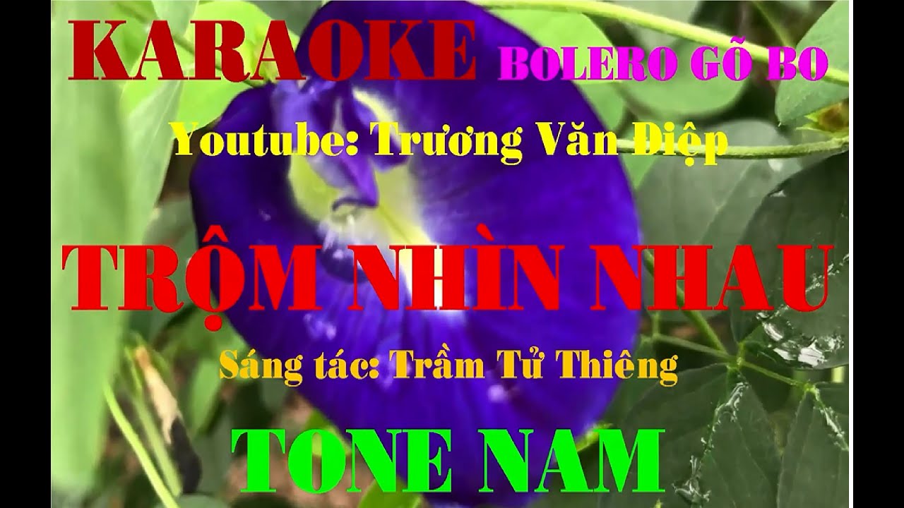 Karaoke Trộm Nhìn Nhau Tone Nam Gõ Bo | Trương Văn Điệp