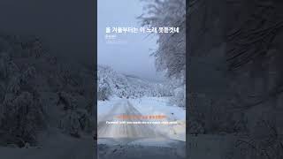 참 좋아하던 겨울 노래였는데...
