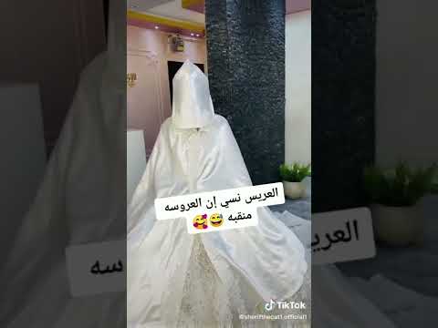 فيديو: فصيل كورجي ميرميد ويتس على الشاطئ لأميرها أن يأتي