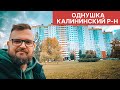 Однокомнатная квартира в Калининском районе / метро Академическая / прямая продажа