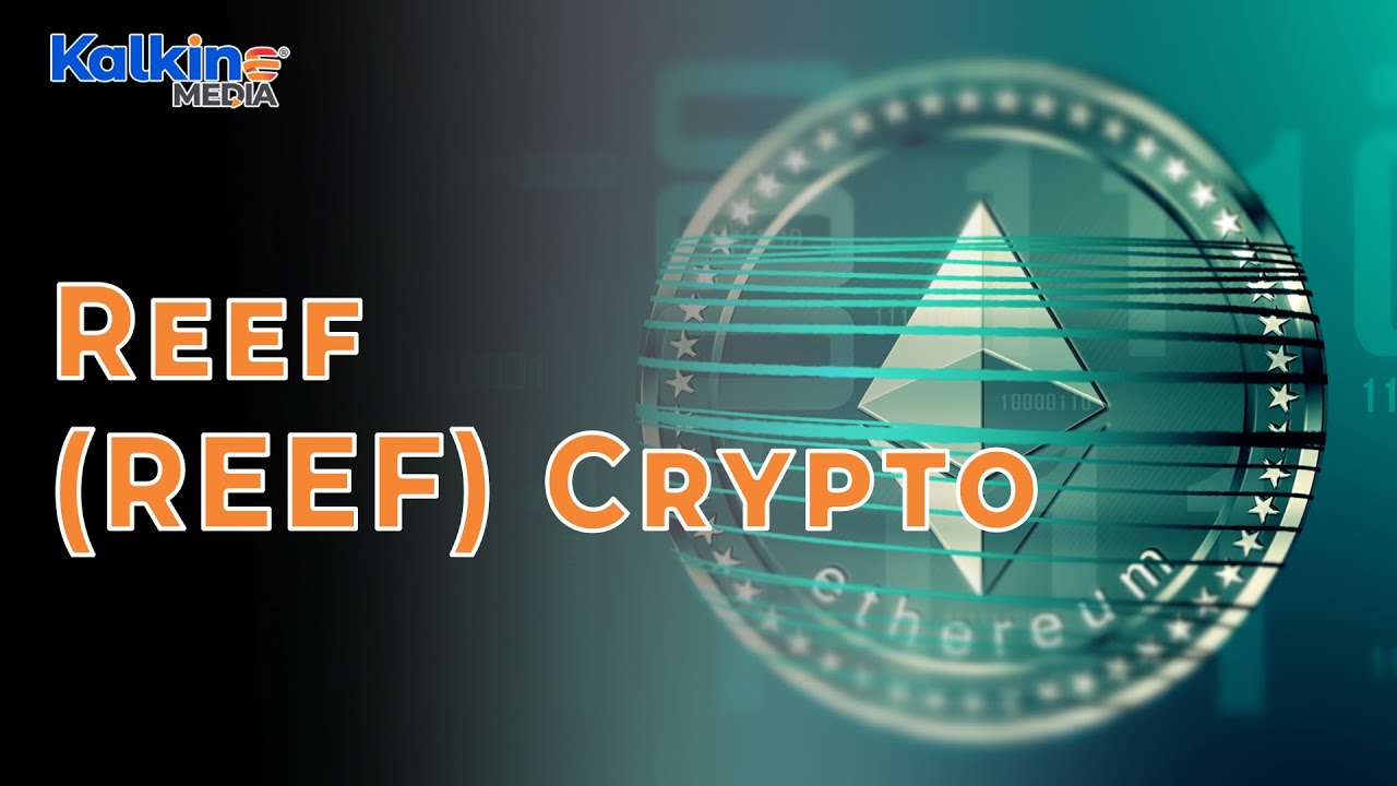 What is Reef (REEF) Crypto?