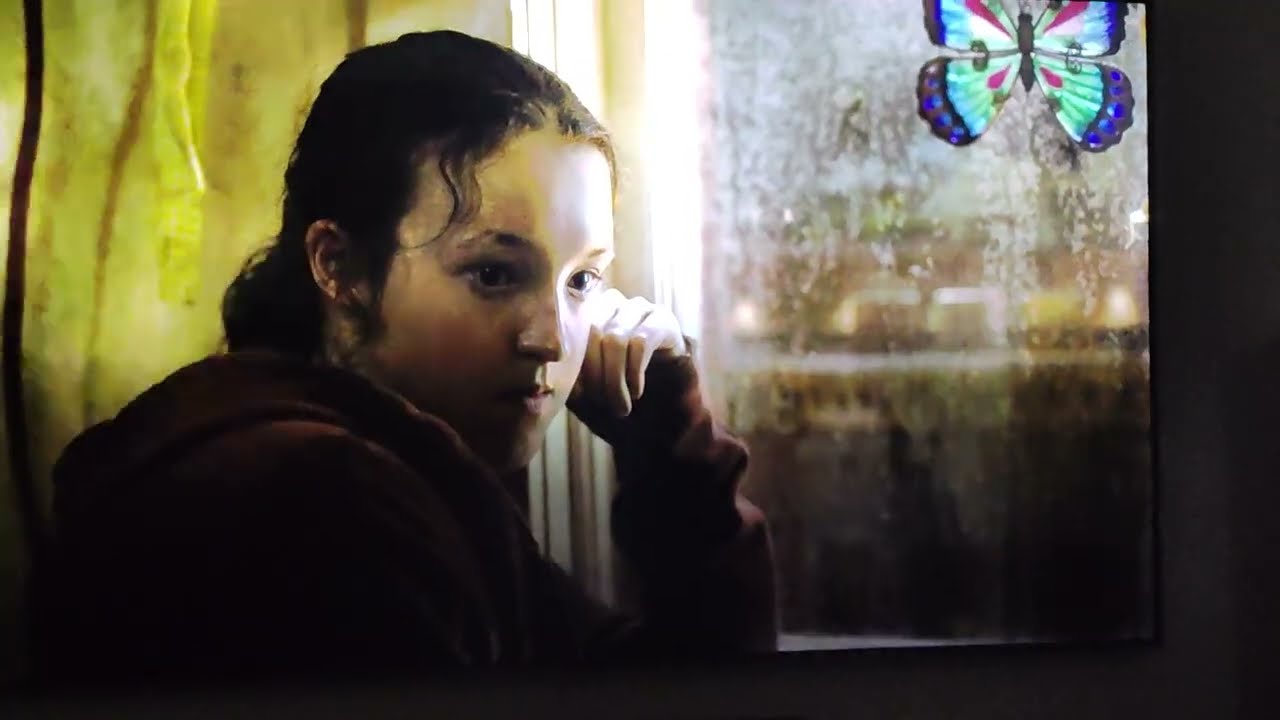 Samsung Q9FN backlight fault 3 ( Jan 2023 )