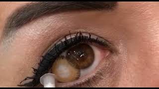 Renkli Lens - Bella Radi̇ant Hazalnut Optikzade