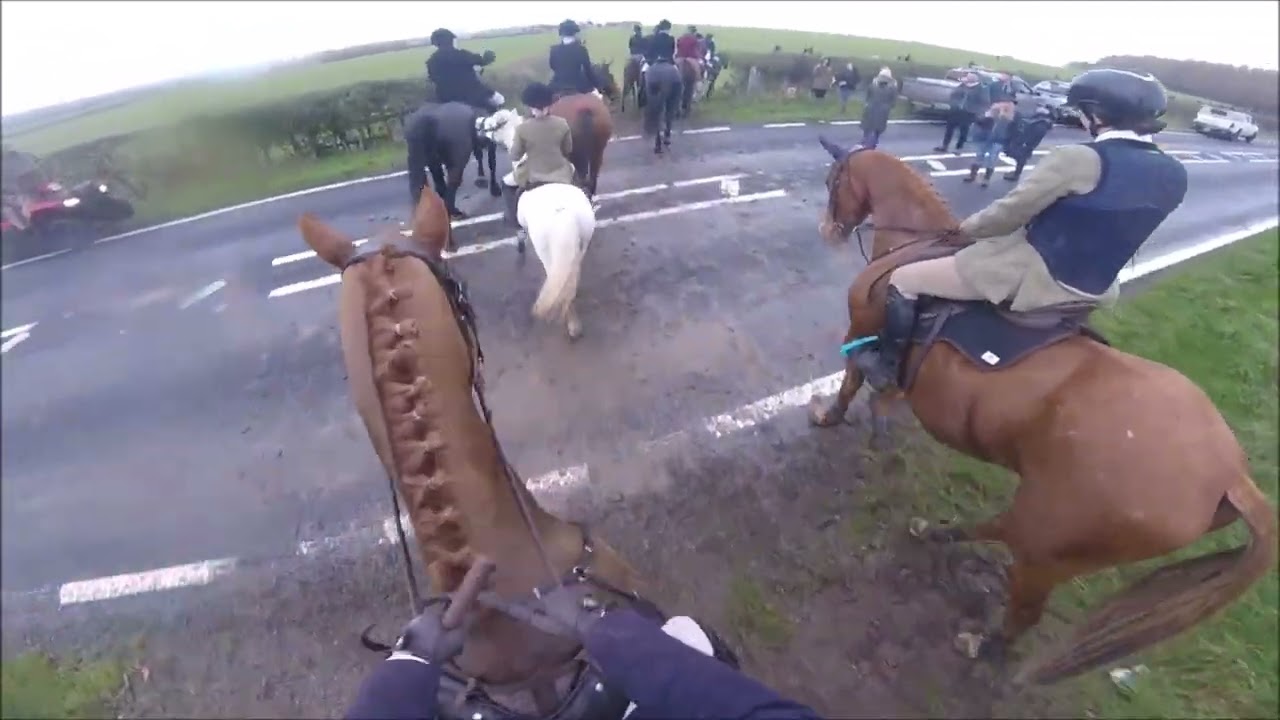 Readyfield Bloodhounds Opening Meet 2025 - Quality Street