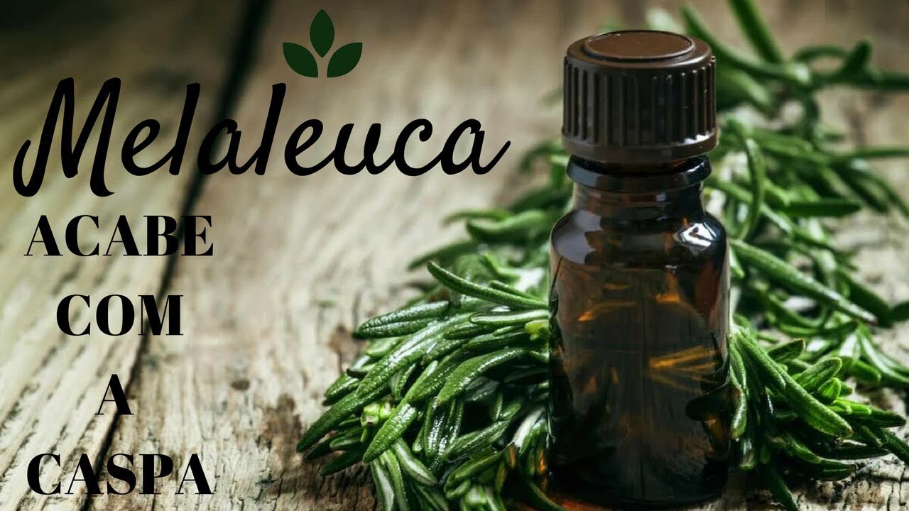 полезные свойства чайного масла