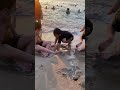 A hai đắp cát ⏳⌛️🏝️⛱️🏖️
