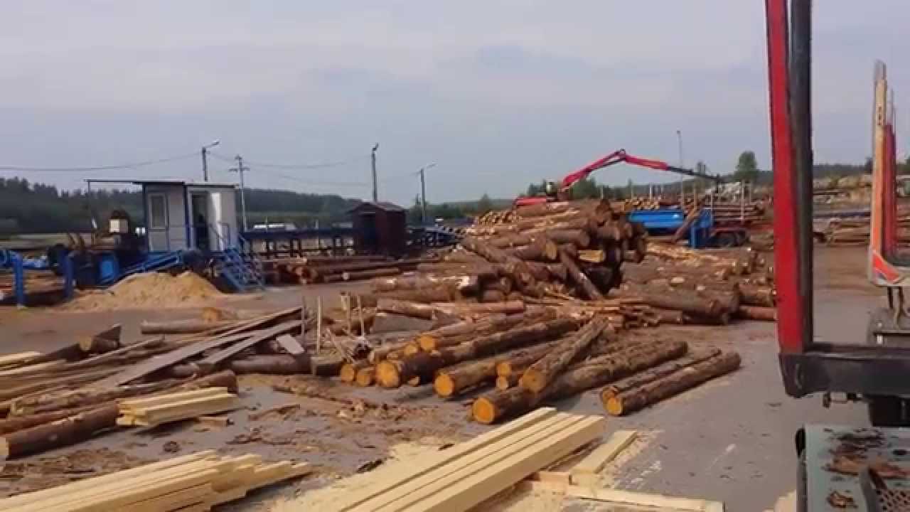 Transport drewna "TRANSDREW" krótkie ) YouTube