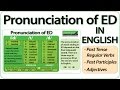 Prononciation de ed en anglais  comment prononcer les terminaisons ed