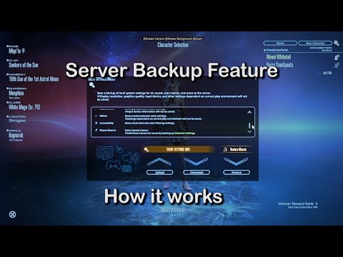 FFXIV: Server Backup Feature - How It Works