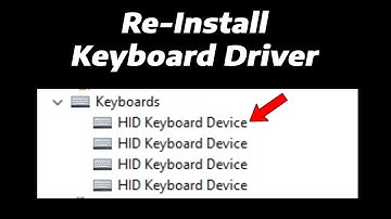 How To Re-Install Keyboard Driver in Windows 11 (2 Easy Methods) | Update Keyboard Drivers