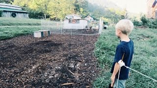 Fall Gardening Begins