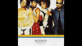 Incognito - Did We Really Ever Try