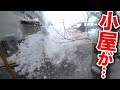 【庭の池】大雪で家の屋根の雪が小屋に大量に落ちてきて… #185 2019.1.2