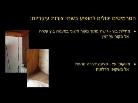 וִידֵאוֹ: על מזיקים בהערצה ו