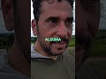 Qual é a melhor cerca viva para quem quer privacidade? #dicas #shorts