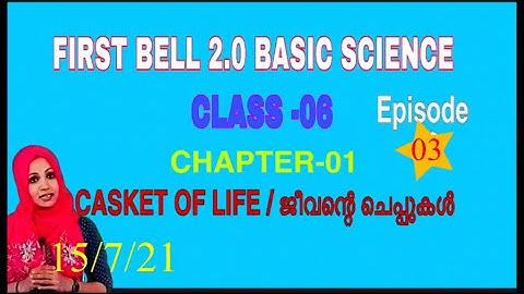 FIRST BELL 2.0 BASIC SCIENCE OF CLASS 06 Episode 03