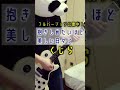 「くじら - 抱きしめたいほど美しい日々に」フルバージョン公開中【演奏してみた】 #Shorts
